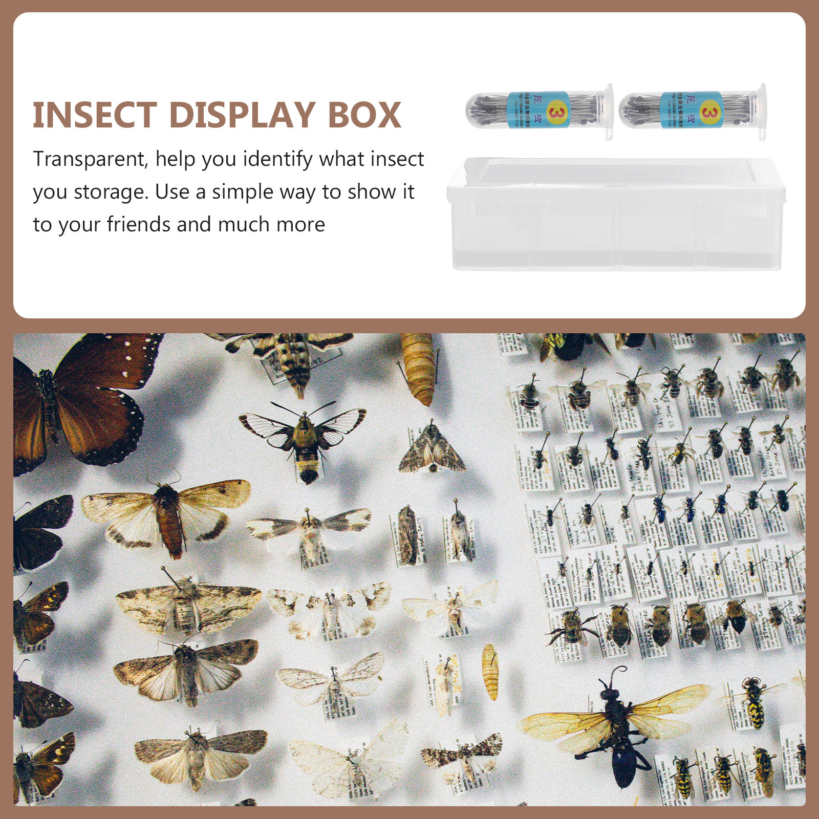 1Set Transparent Specimen Box  - Collectors Coins Jewelry & Watches Of Smithtown Reviews avis et prix