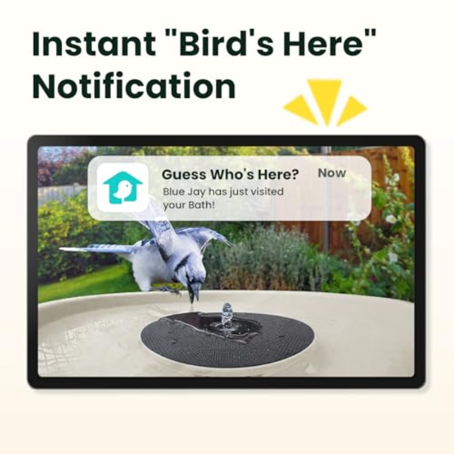 Bird Watching Smart Bird Bath  - Watches & Jewelry Repair Center New York avis et prix