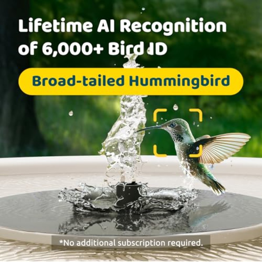Bird Watching Smart Bird Bath  - Watches & Jewelry Repair Center New York avis et prix