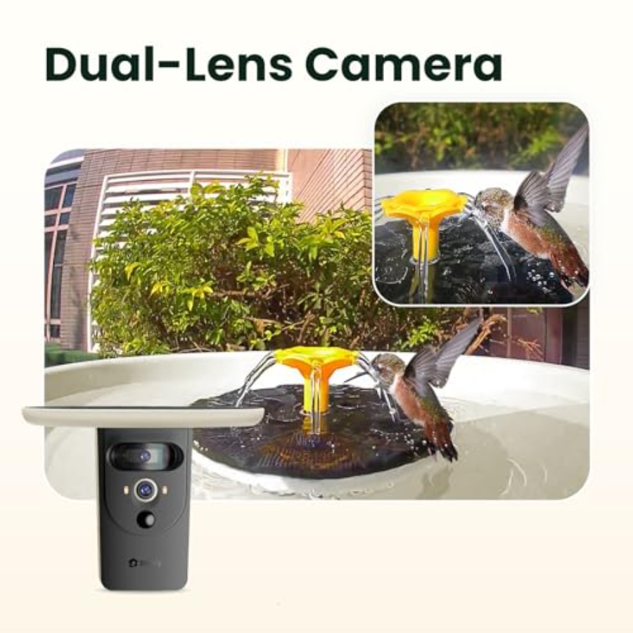 Bird Watching Smart Bird Bath  - Watches & Jewelry Repair Center New York avis et prix