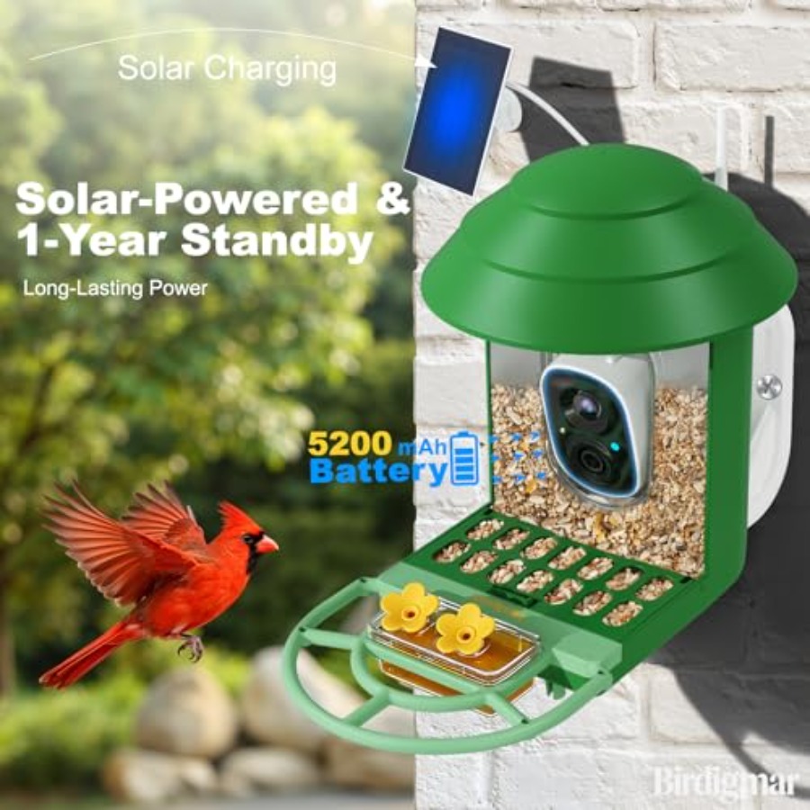 Bird Feeder with Camera for Ou - Watches & Jewelry Repair Center New York avis et prix