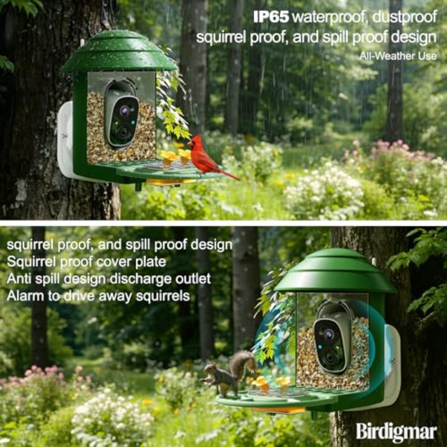 Bird Feeder with Camera for Ou - Watches & Jewelry Repair Center New York avis et prix