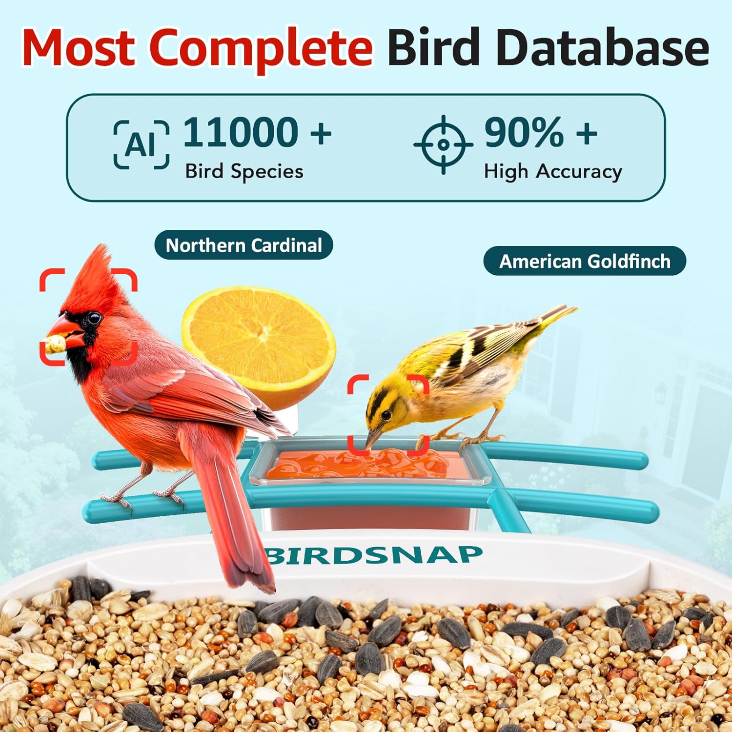 2K HD Bird Feeder Camera with  - Watches & Jewelry Repair Center New York avis et prix