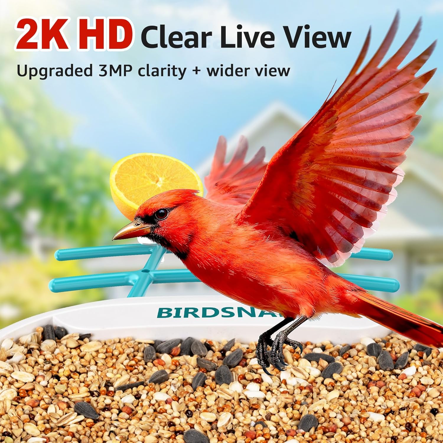 2K HD Bird Feeder Camera with  - Watches & Jewelry Repair Center New York avis et prix
